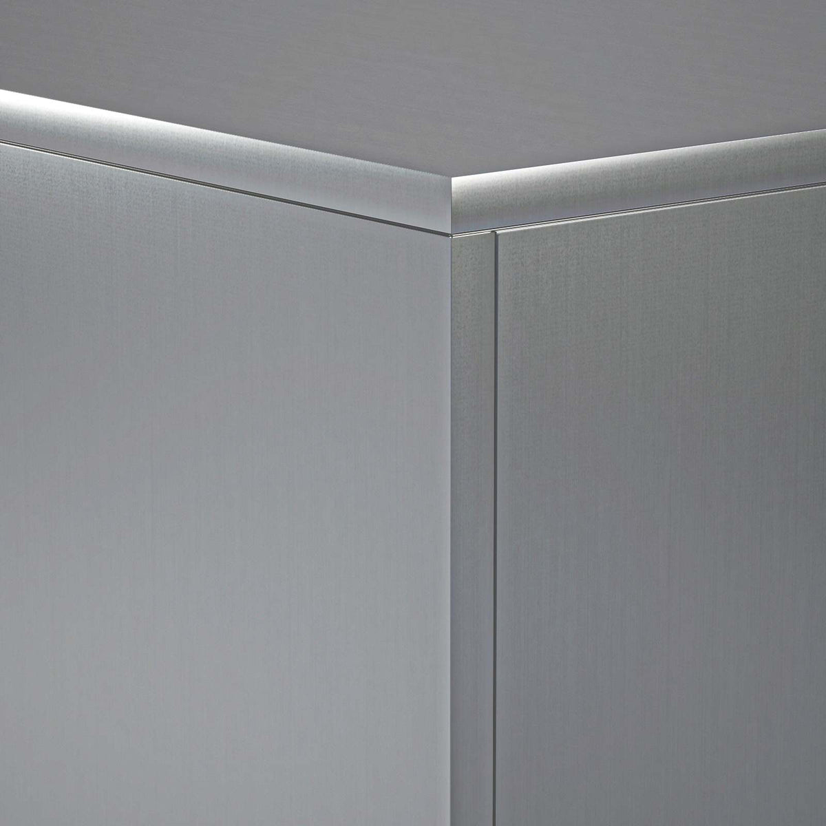 Βάση φυτών 2 pcs Ασημί 40 x 40 x 100 cm Ανοξείδωτο Ατσάλι