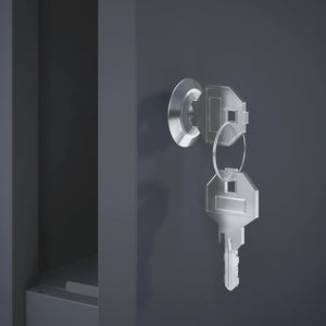 γραμματοκιβώτιο Ανθρακί 50 x 52 x 100 cm Ατσάλι