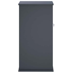 γραμματοκιβώτιο Ανθρακί 50 x 52 x 100 cm Ατσάλι