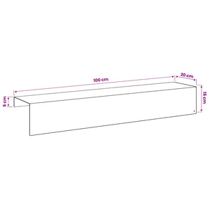 Προφίλ επικάλυψης κήπου 2 τμχ. 100 x 20 x 15 εκ