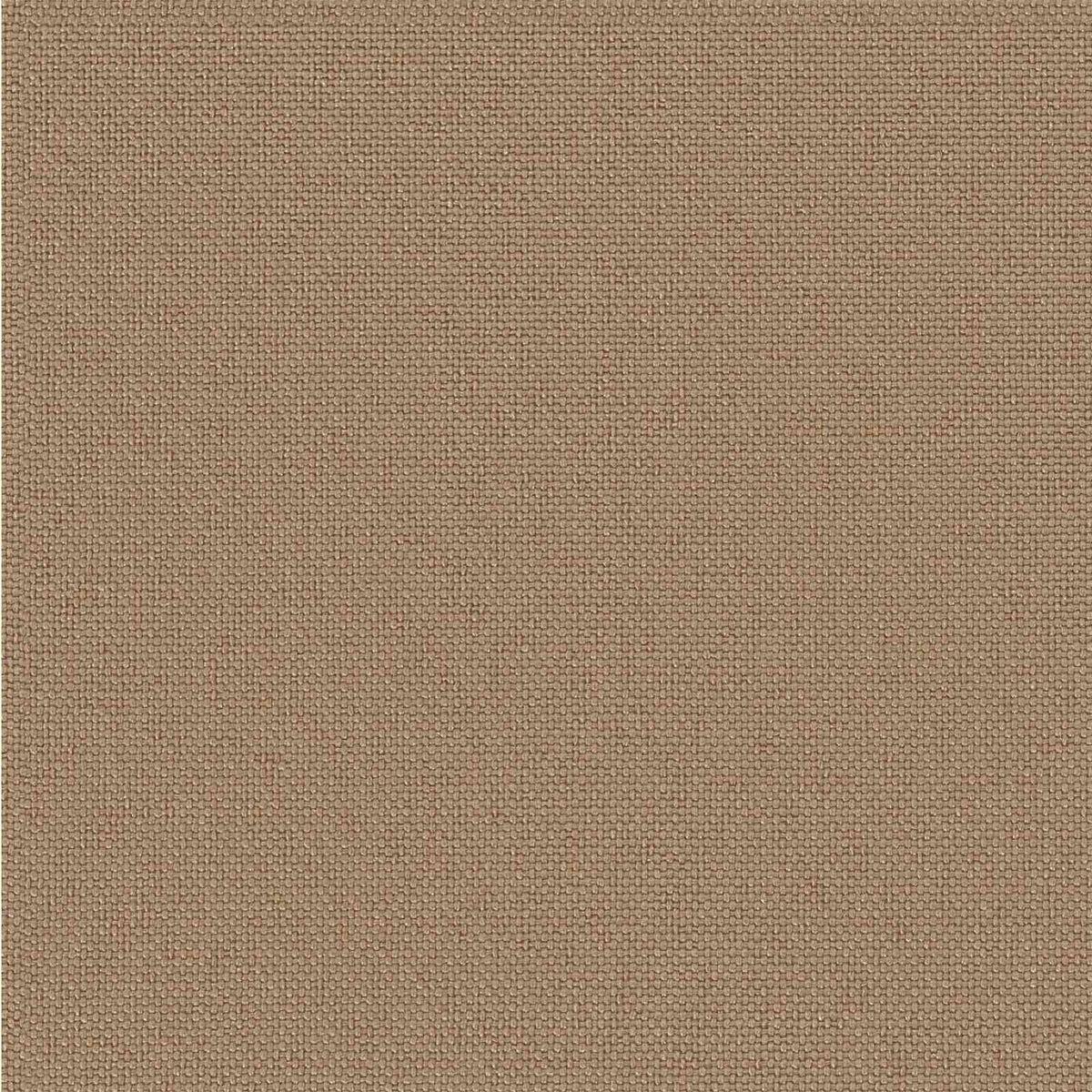 Μαξιλάρι 1 Τεμαχίου SOEST 100% Πολυεστέρας Taupe - Pakobazaar