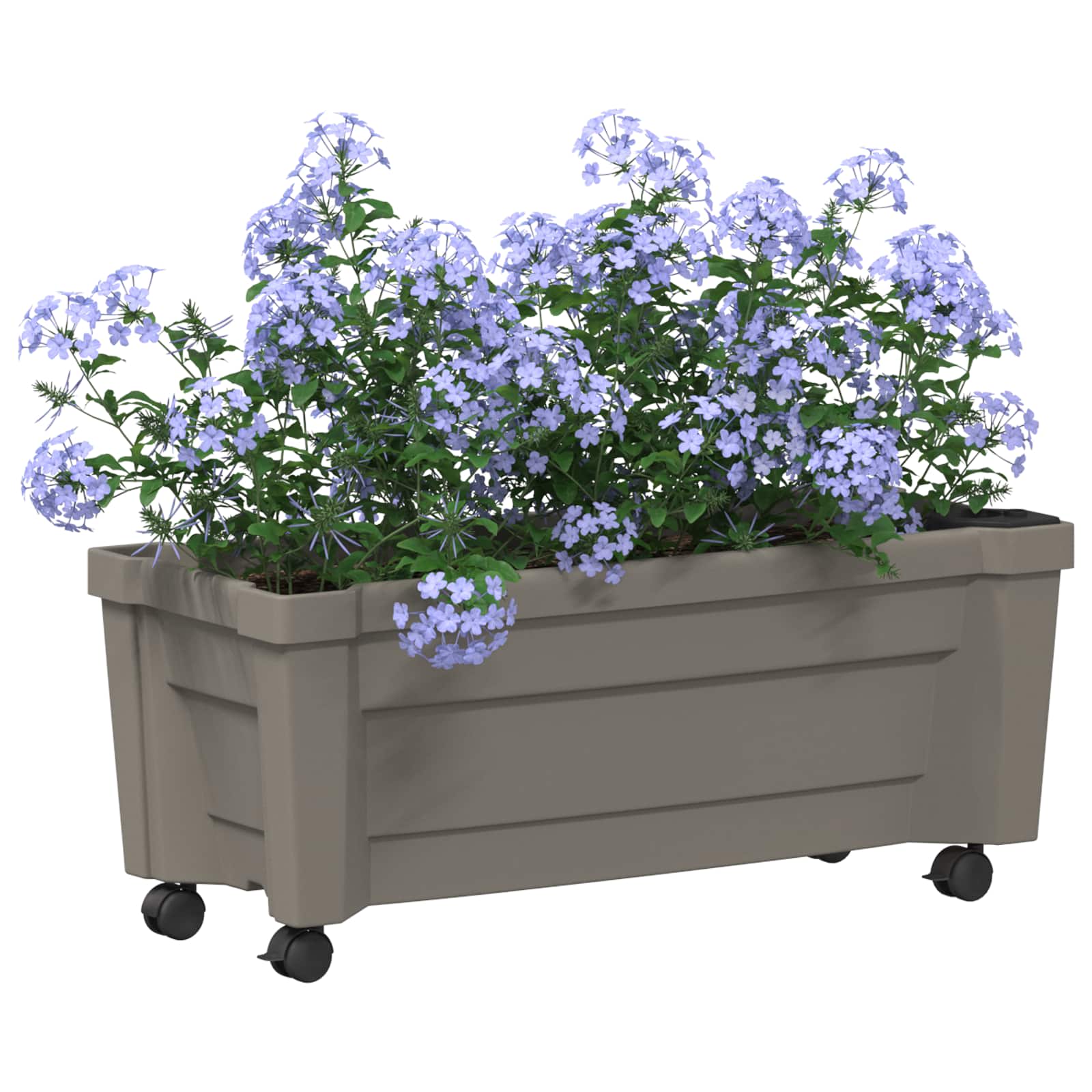 Γλάστρα Calypso με Ρόδες Γκρι 79 x 35 x 33 εκ PP - Pakobazaar