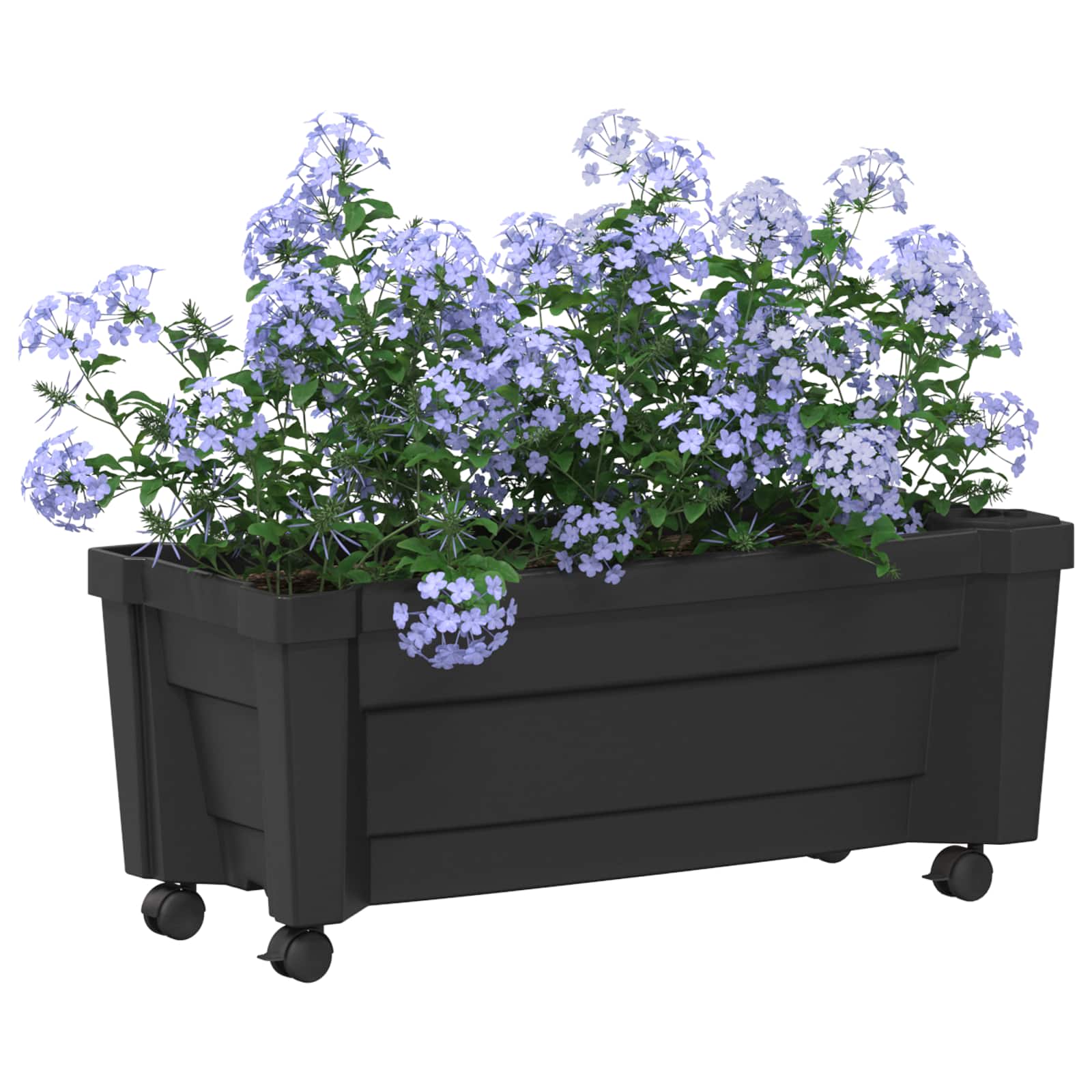 Γλάστρα Calypso με Ρόδες Ανθρακί 79 x 35 x 33 εκ PP - Pakobazaar