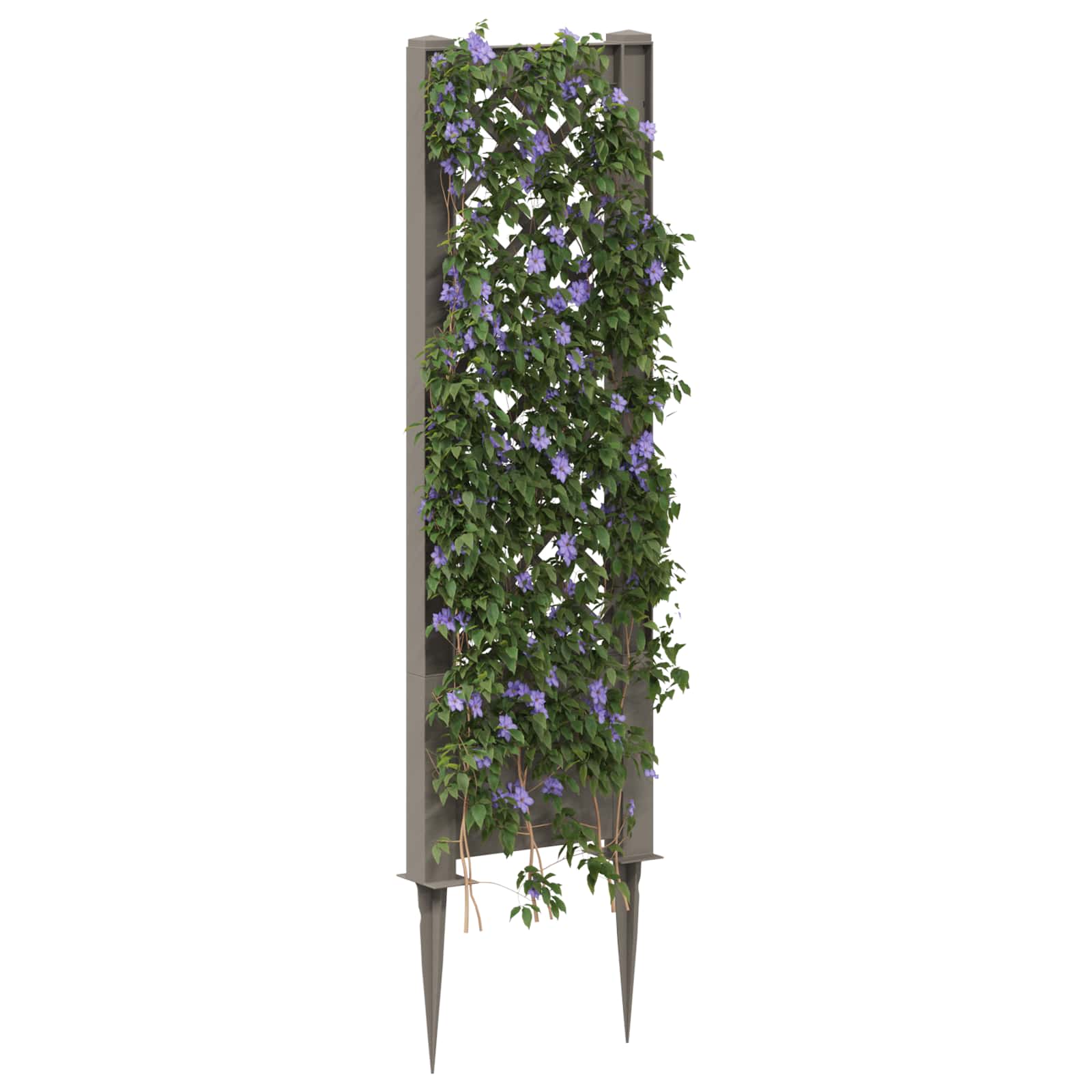 Πλέγμα με Ακίδα Γκρι 43 x 6 x 165 εκ. PP - Pakobazaar