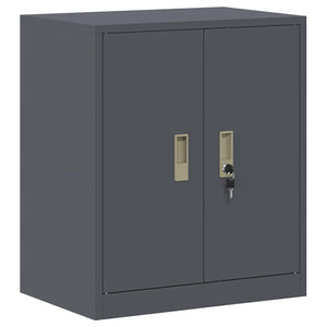 Ντουλάπι αποθήκευσης 2 τμχ. Ανθρακί 60 x 40 x 175 εκ Ατσάλι - Pakobazaar