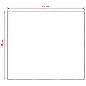 Βάρος Κουβέρτα Λευκό 200 x 225 cm 9 kg 100% Βαμβάκι 205T