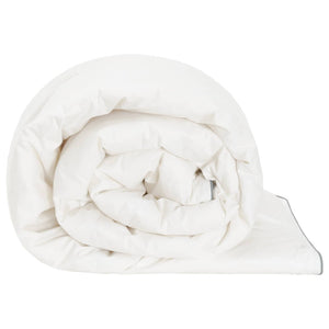 Πάπλωμα FULDA 220 x 260 cm Καλοκαίρι 100 GSM 90% Χήνας Λευκό - Pakobazaar