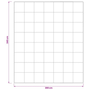 Σετ πάπλωμα 90% χήνας FULDA 3 τμχ. 200 x 240 cm Όλες οι εποχές