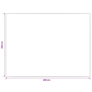 Χαλί Γκρι 300 x 400 cm 100% Πολυεστέρας 3 mm Πλένεται - Pakobazaar