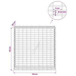 Γκαμπιόν με σύρμα 3,5 χλστ και πλέγμα 5x2,5 εκ 50x20x50 εκ