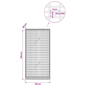 Γκαμπιόν με σύρμα 3,5 χλστ και πλέγμα 5x2,5 εκ 50x20x100 εκ - Pakobazaar
