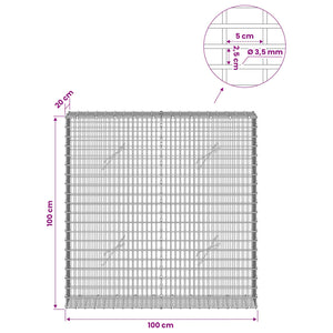 Γκαμπιόν με σύρμα 3,5 χλστ και πλέγμα 5x2,5 εκ 100x20x100 εκ. - Pakobazaar