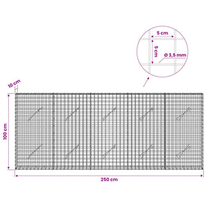 Γκαμπιόν με Σύρμα 3,5 mm και Πλέγμα 5x5 cm 250x10x100 εκ