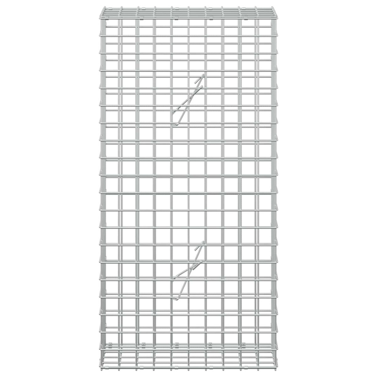 Γκαμπιόν με Σύρμα 3,5 mm και Πλέγμα 5x5 cm 50x20x100 εκ - Pakobazaar