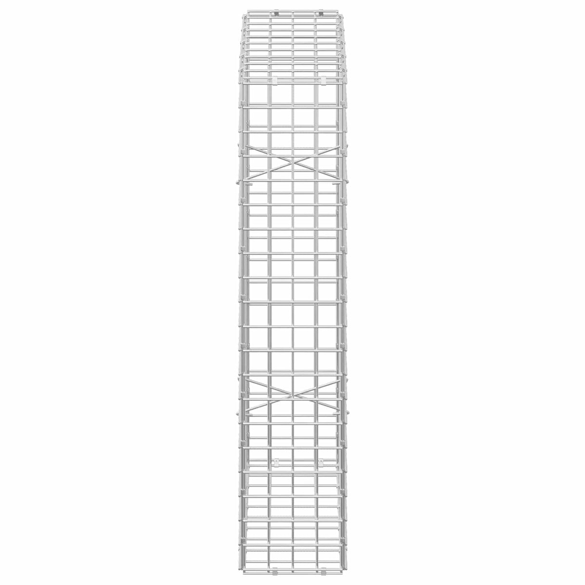 Γκαμπιόν με Σύρμα 3,5 mm και Πλέγμα 5x5 cm 50x20x100 εκ - Pakobazaar