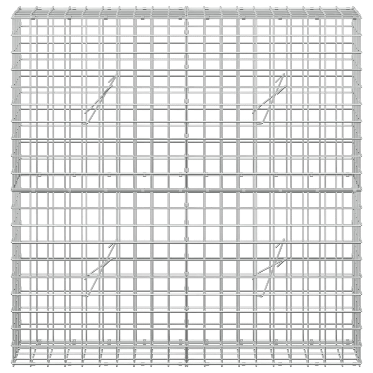 Γκαμπιόν με Σύρμα 3,5 mm και Πλέγμα 5x5 cm 100x20x100 εκ.