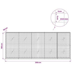 Γκαμπιόν με Σύρμα 3,5 mm και Πλέγμα 5x5 cm 250x20x100 εκ - Pakobazaar