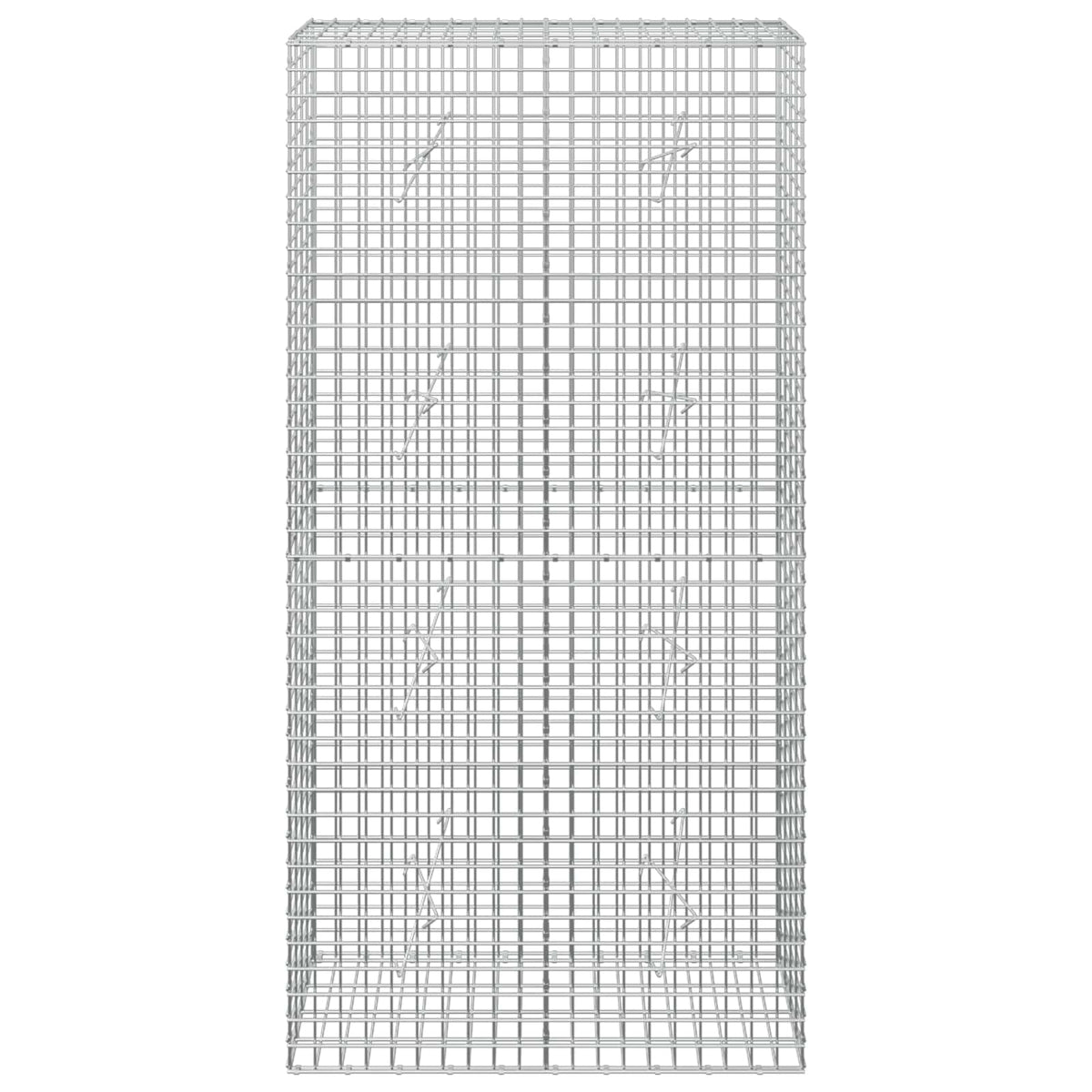 Γκαμπιόν με Σύρμα 3,5 mm και Πλέγμα 5x5 cm 100x20x200 εκ - Pakobazaar