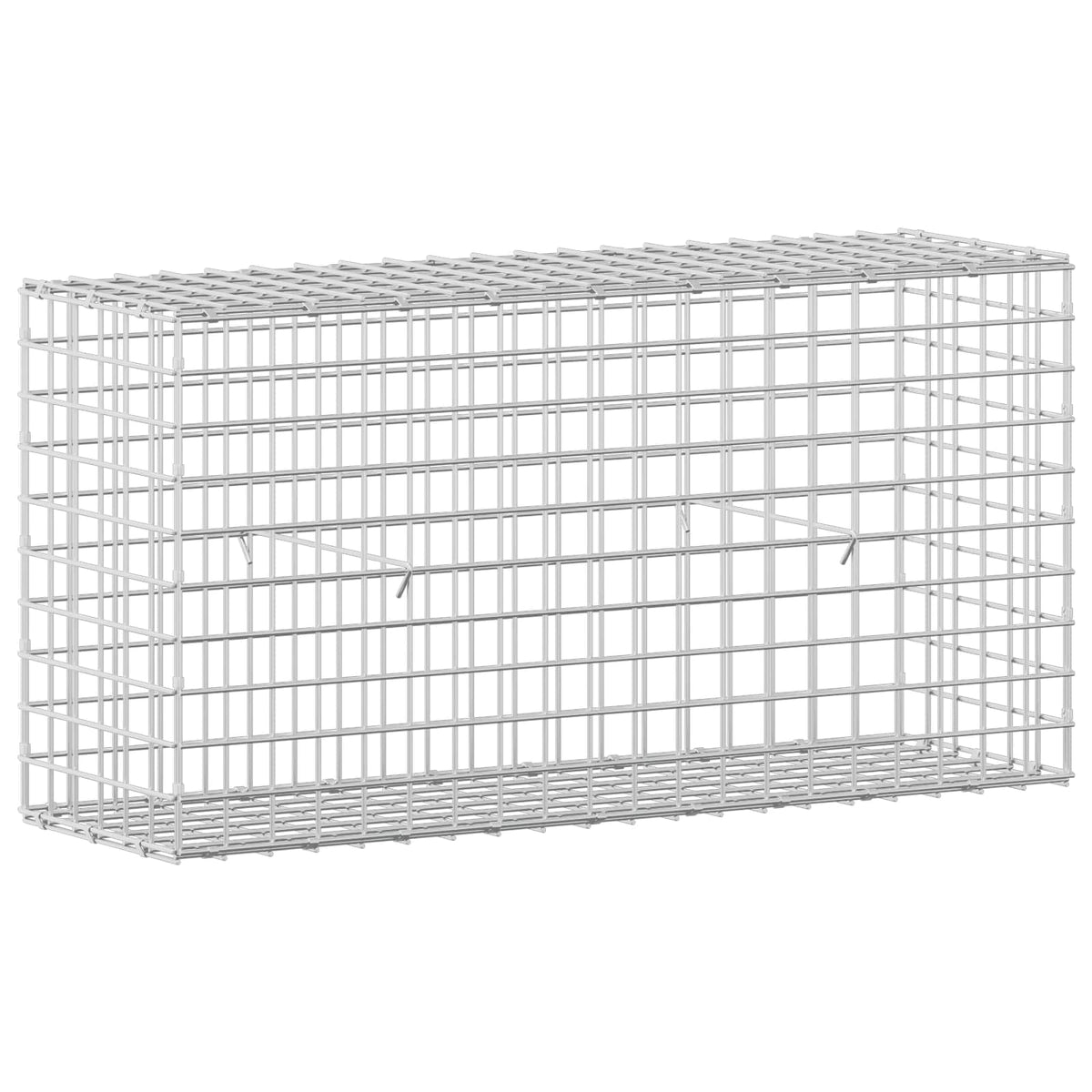 Γκαμπιόν με Σύρμα 3,5 mm και Πλέγμα 5x5 cm 100x30x50 εκ