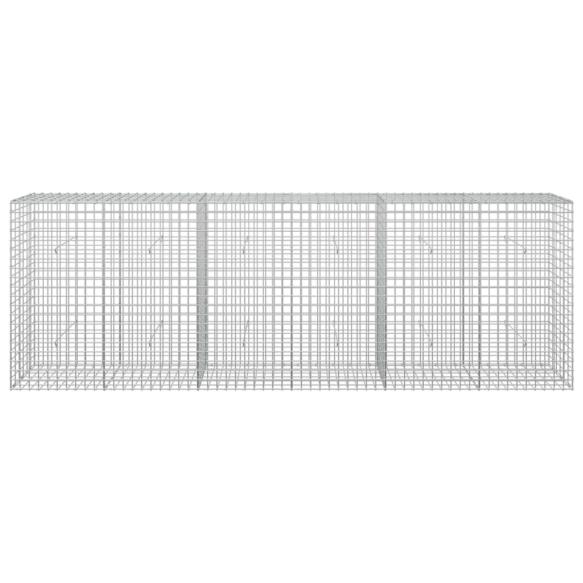 Γκαμπιόν με Σύρμα 3,5 mm και Πλέγμα 5x5 cm 300x30x100 εκ - Pakobazaar
