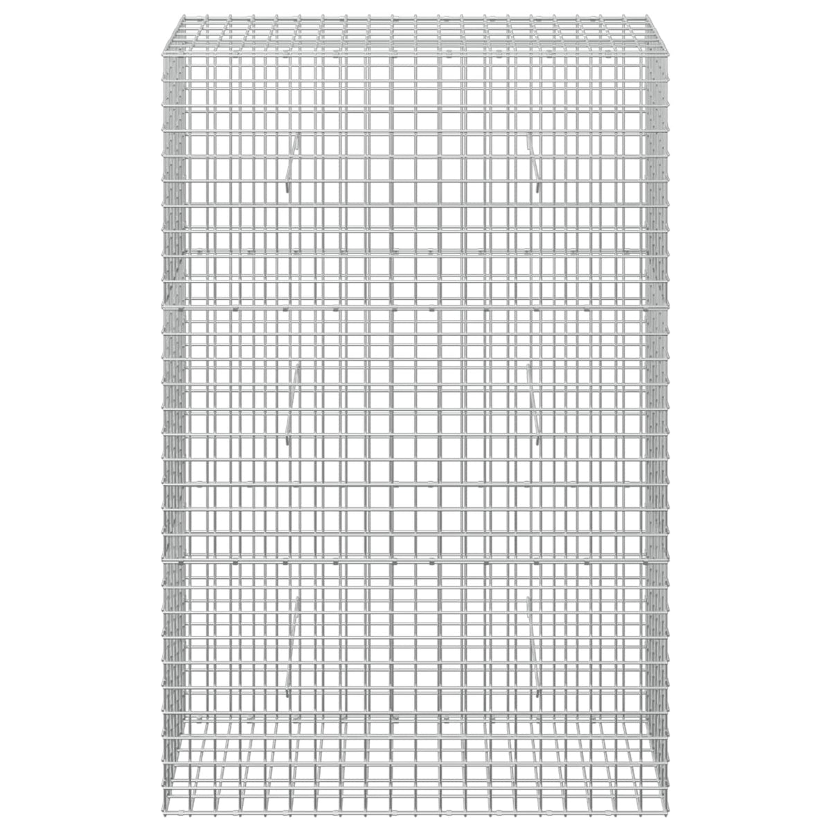 Γκαμπιόν με Σύρμα 3,5 mm και Πλέγμα 5x5 cm 100x30x150 εκ - Pakobazaar