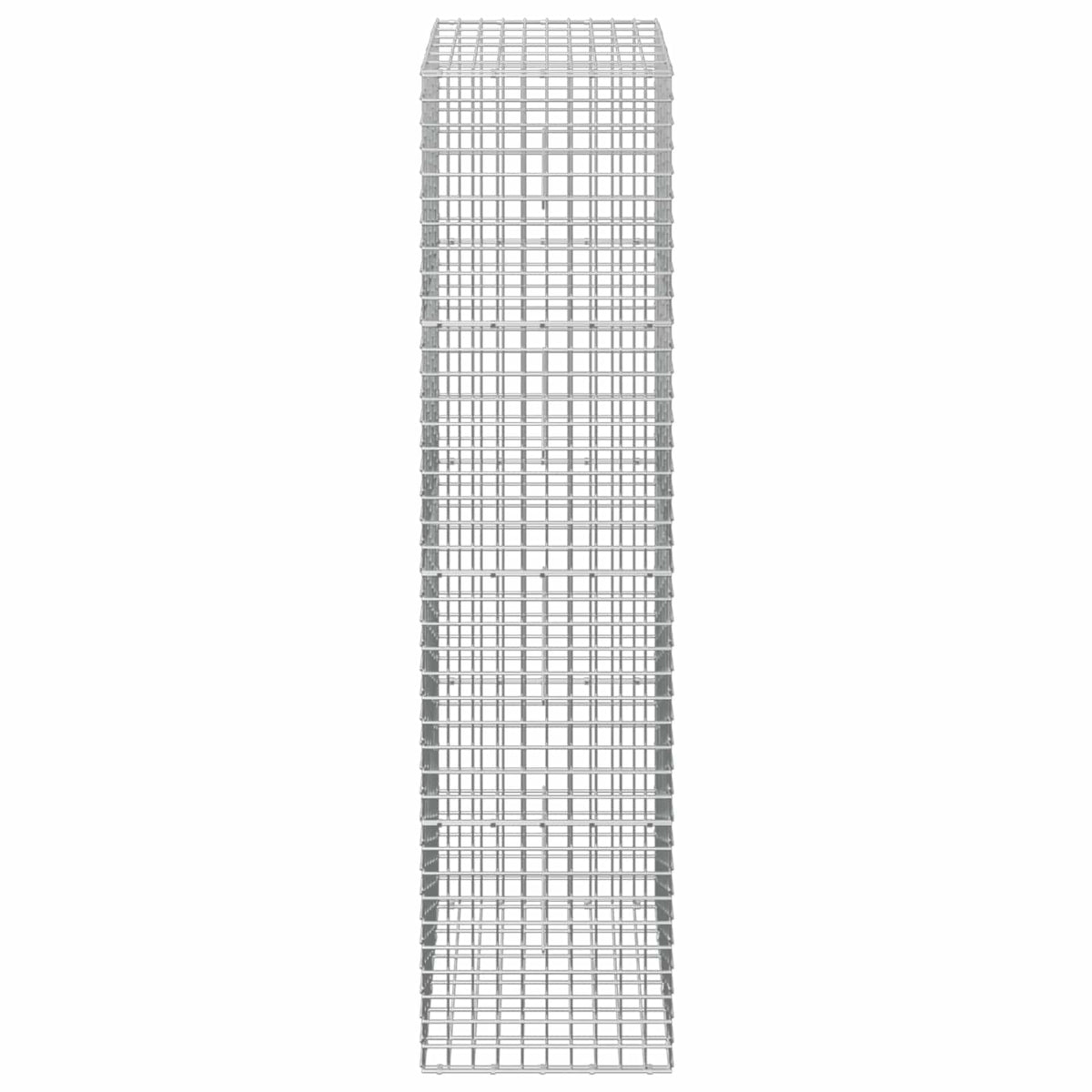 Γκαμπιόν με Σύρμα 3,5 mm και Πλέγμα 5x5 cm 50x30x200 εκ