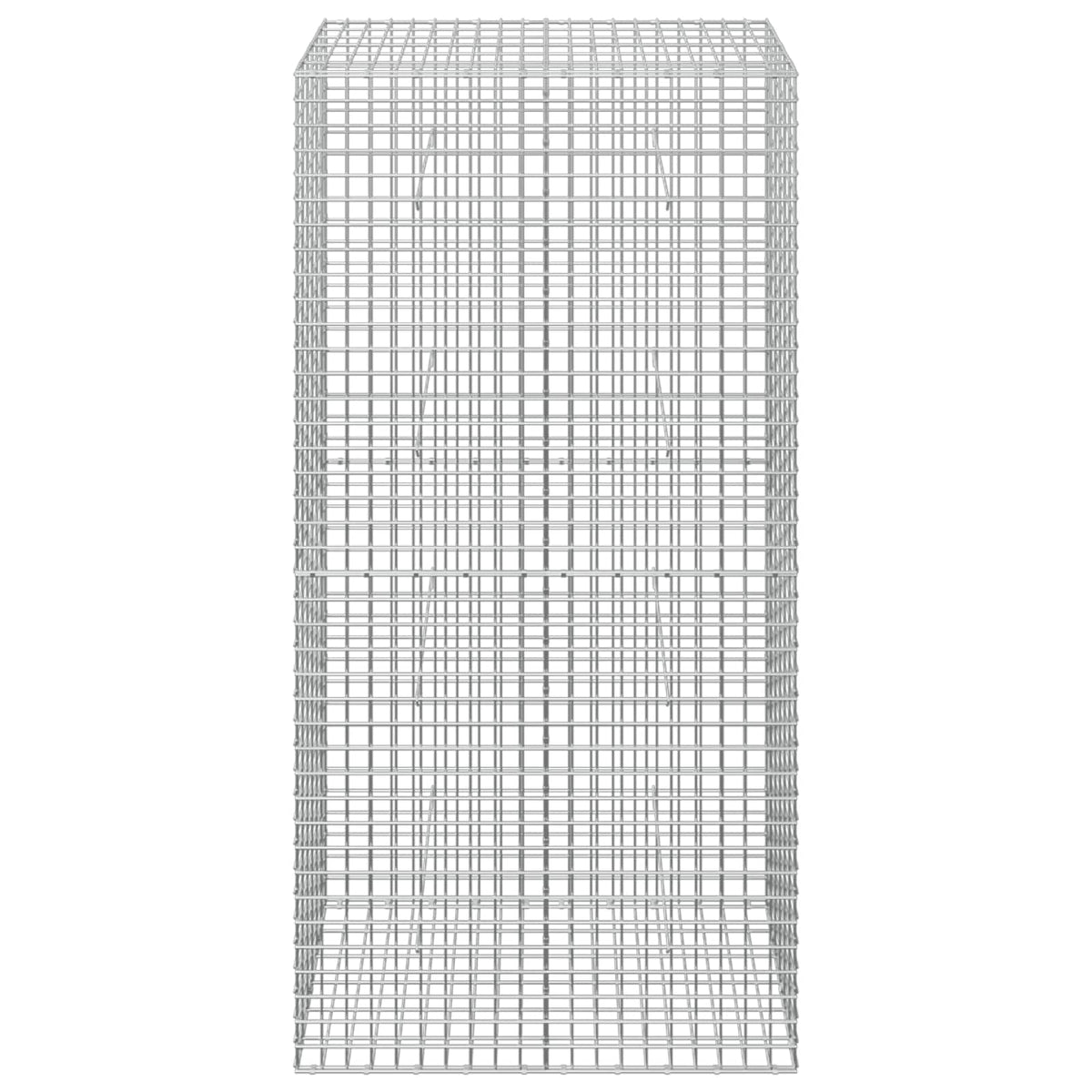 Γκαμπιόν με Σύρμα 3,5 mm και Πλέγμα 5x5 cm 100x30x200 εκ.