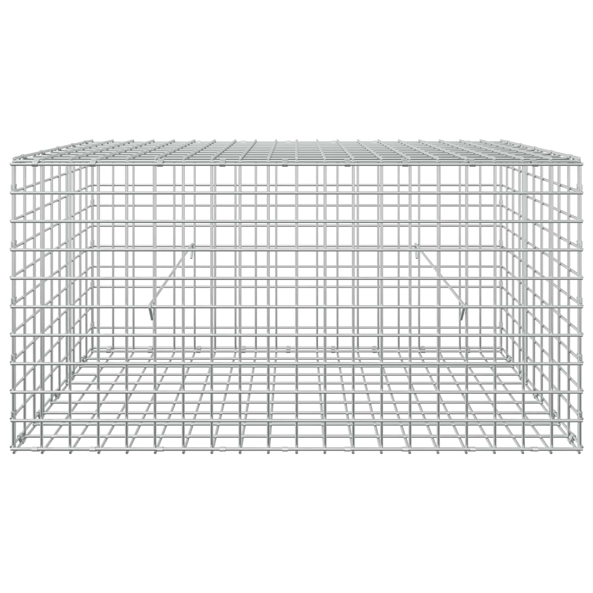 Γκαμπιόν με Σύρμα 3,5 mm και Πλέγμα 5x5 cm 100x50x50 εκ