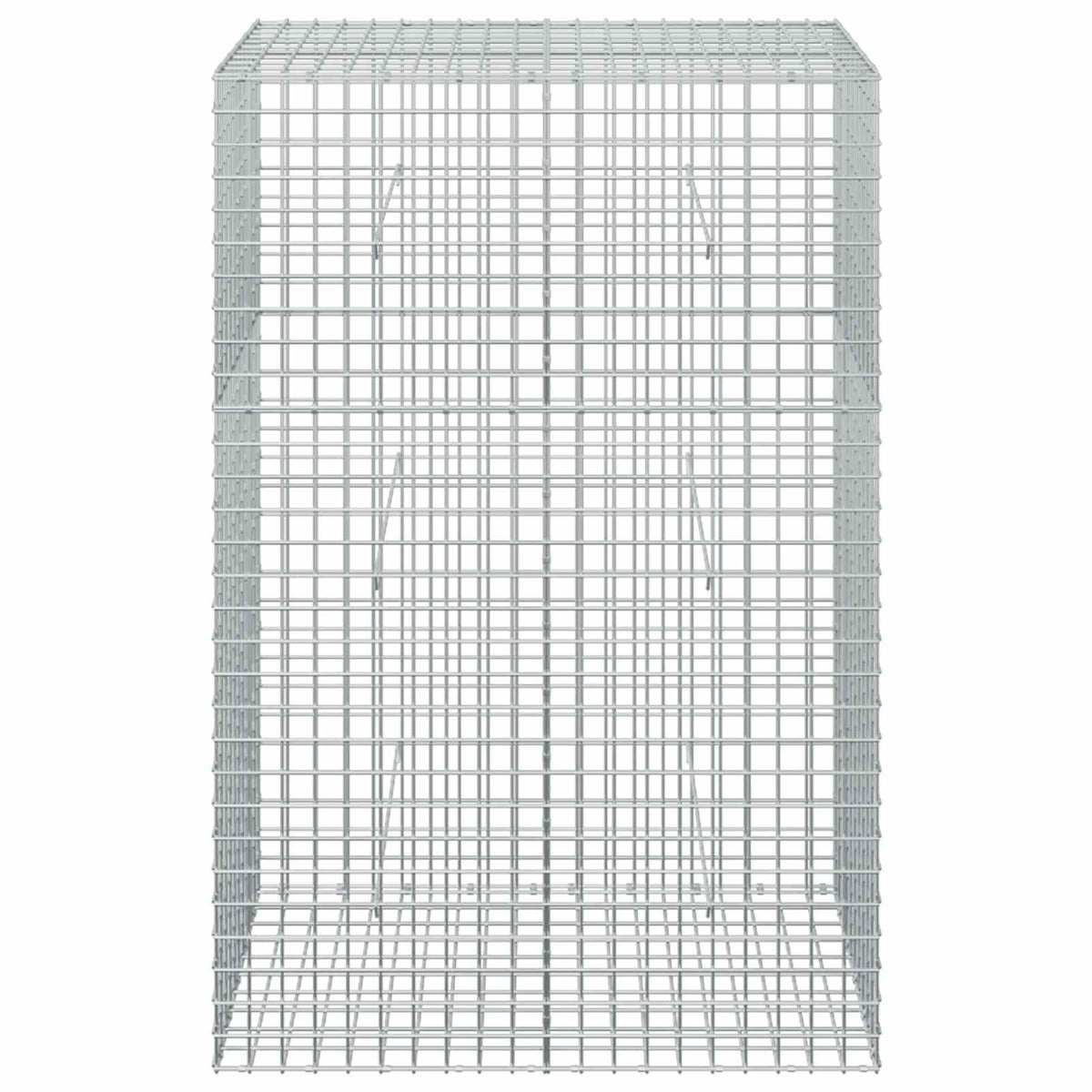 Γκαμπιόν με Σύρμα 3,5 mm και Πλέγμα 5x5 cm 100x50x150 εκ