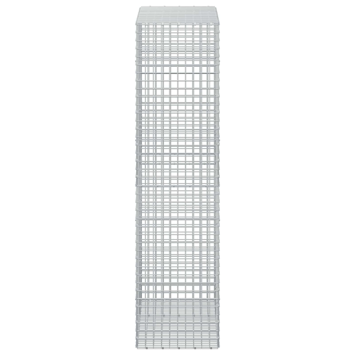 Γκαμπιόν με Σύρμα 3,5 mm και Πλέγμα 5x5 cm 150x50x200 εκ - Pakobazaar