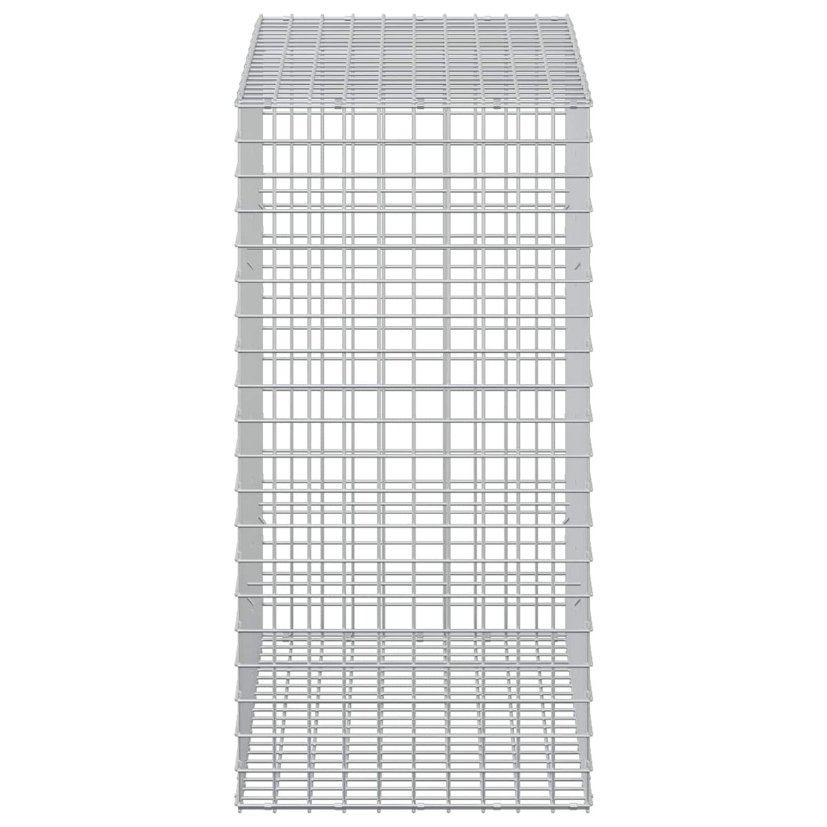 Γκαμπιόν με Σύρμα 3,5 mm και Πλέγμα 5x5 cm 50x100x100 εκ - Pakobazaar