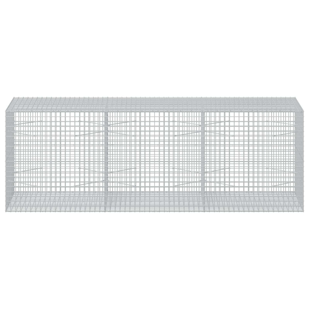Γκαμπιόν με Σύρμα 3,5 mm και Πλέγμα 5x5 cm 300x100x100 εκ. - Pakobazaar