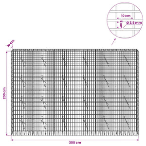 Γκαμπιόν με σύρμα 3,5 mm και πλέγμα 5x10 cm 300x10x200 εκ - Pakobazaar