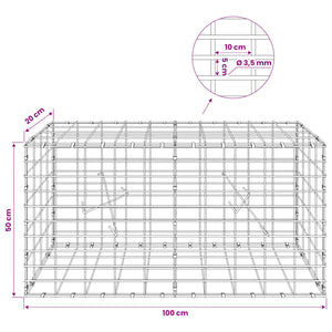Γκαμπιόν με σύρμα 3,5 mm και πλέγμα 5x10 cm 100x20x50 εκ