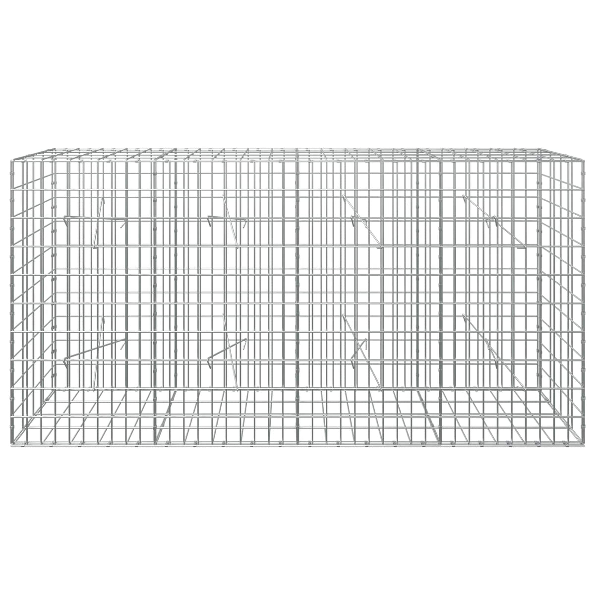 Γκαμπιόν με σύρμα 3,5 mm και πλέγμα 5x10 cm 200x20x100 εκ - Pakobazaar
