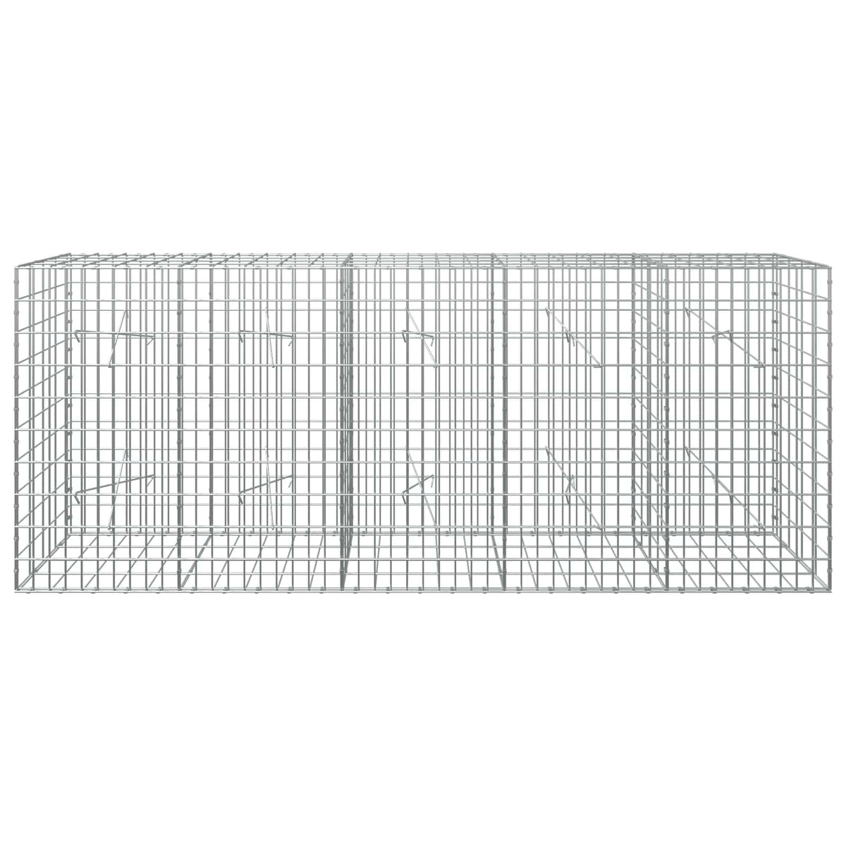 Γκαμπιόν με σύρμα 3,5 mm και πλέγμα 5x10 cm 250x20x100 εκ - Pakobazaar