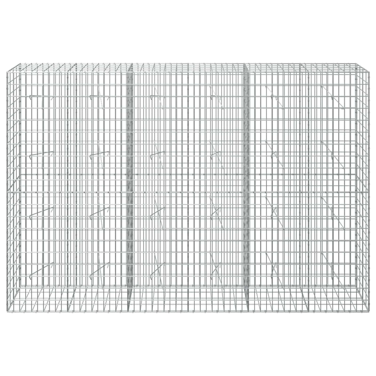 Γκαμπιόν με σύρμα 3,5 mm και πλέγμα 5x10 cm 300x20x200 εκ - Pakobazaar