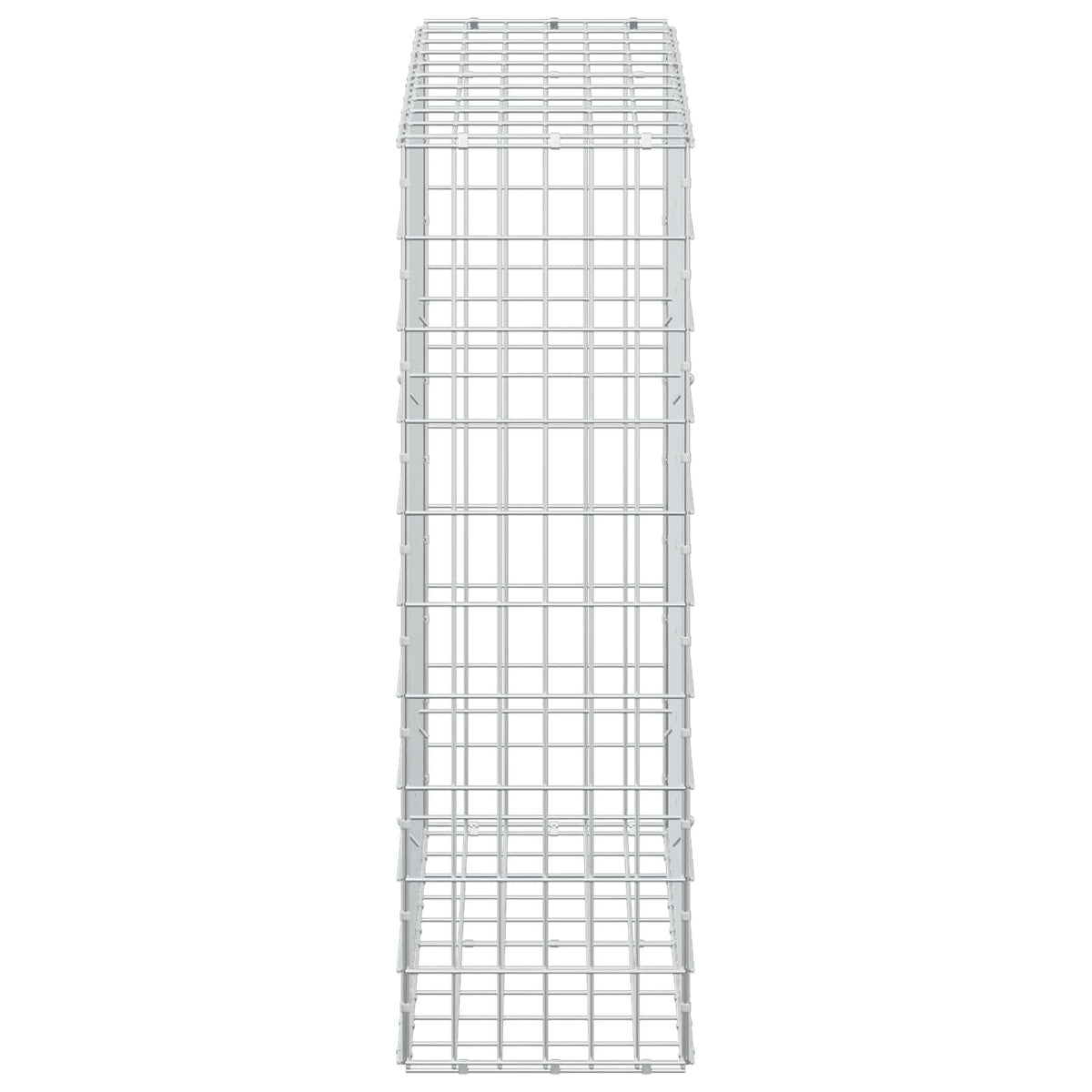 Γκαμπιόν με σύρμα 3,5 mm και πλέγμα 5x10 cm 100x30x100 εκ - Pakobazaar