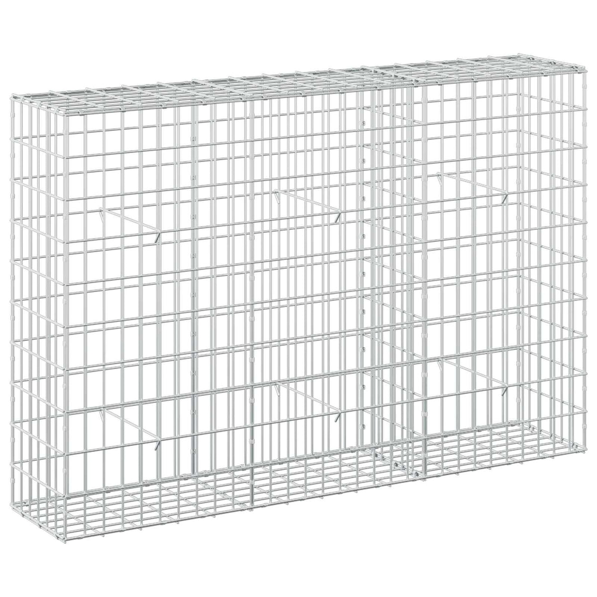Γκαμπιόν με σύρμα 3,5 mm και πλέγμα 5x10 cm 150x30x100 εκ - Pakobazaar