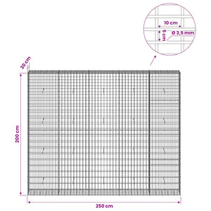 Γκαμπιόν με σύρμα 3,5 mm και πλέγμα 5x10 cm 250x30x200 εκ. - Pakobazaar
