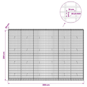 Γκαμπιόν με σύρμα 3,5 mm και πλέγμα 5x10 cm 300x30x200 εκ - Pakobazaar