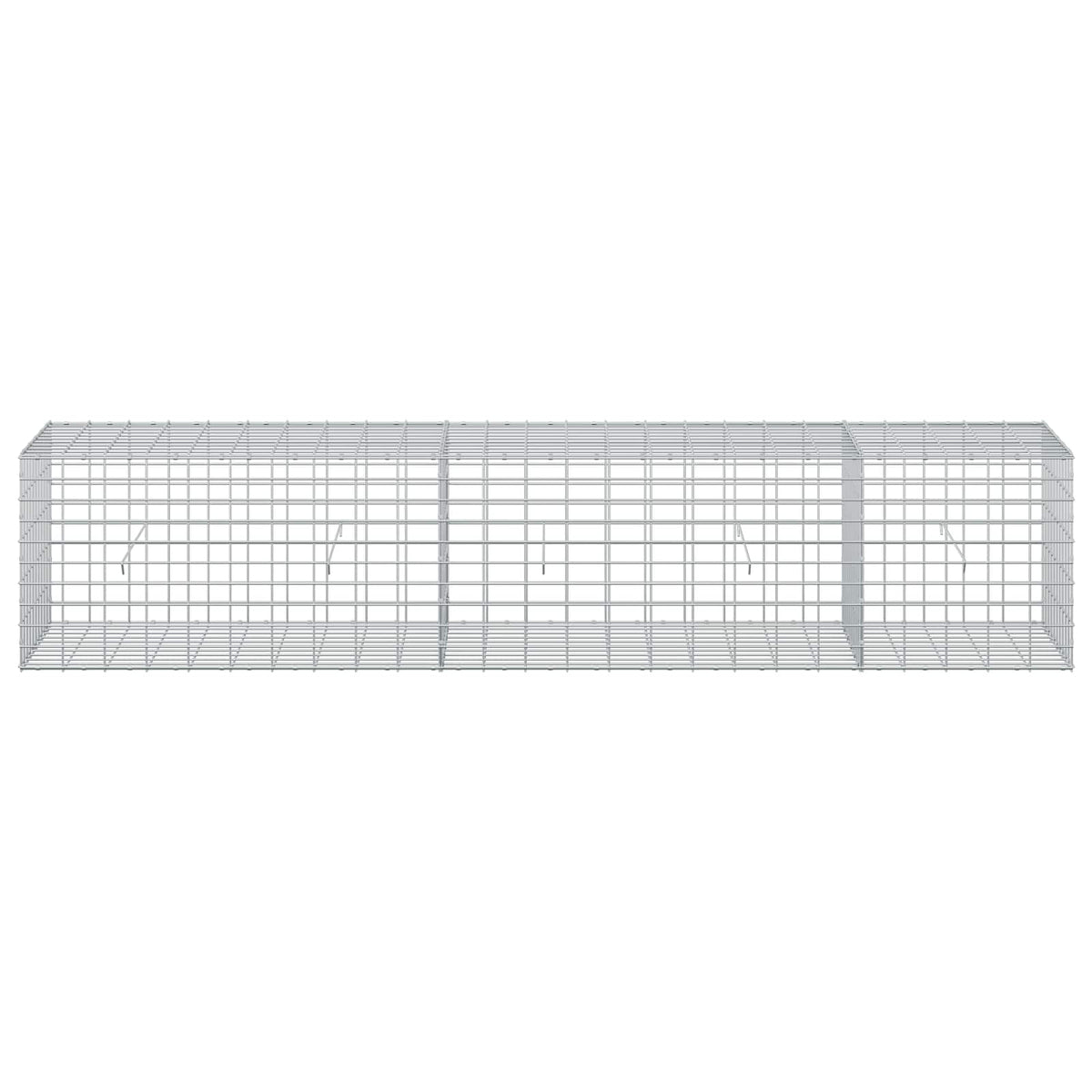 Γκαμπιόν με σύρμα 3,5 mm και πλέγμα 5x10 cm 250x50x50 εκ