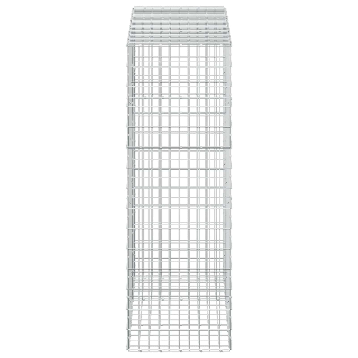 Γκαμπιόν με σύρμα 3,5 mm και πλέγμα 5x10 cm 150x50x150 εκ - Pakobazaar