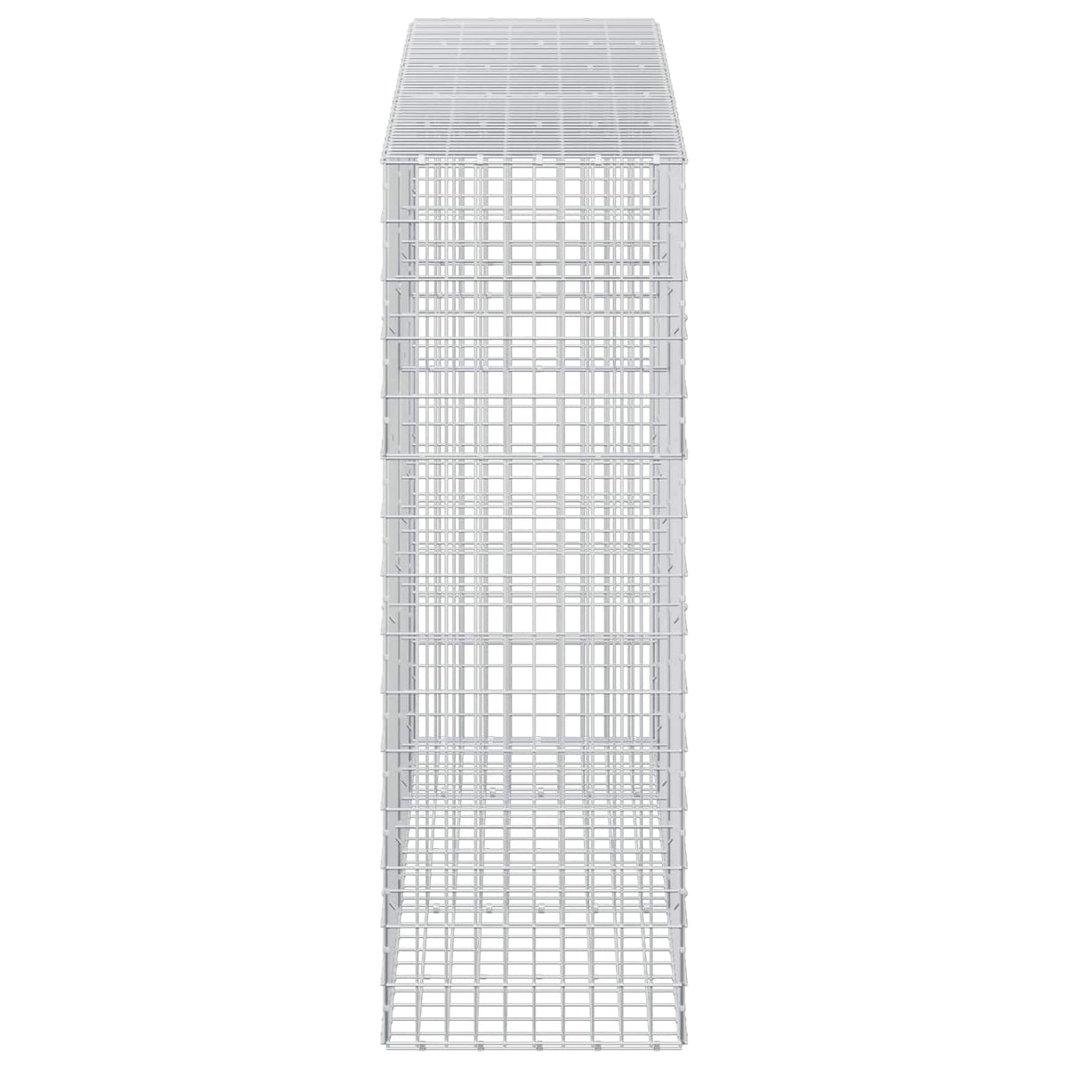 Γκαμπιόν με σύρμα 3,5 mm και πλέγμα 5x10 cm 250x50x150 εκ - Pakobazaar