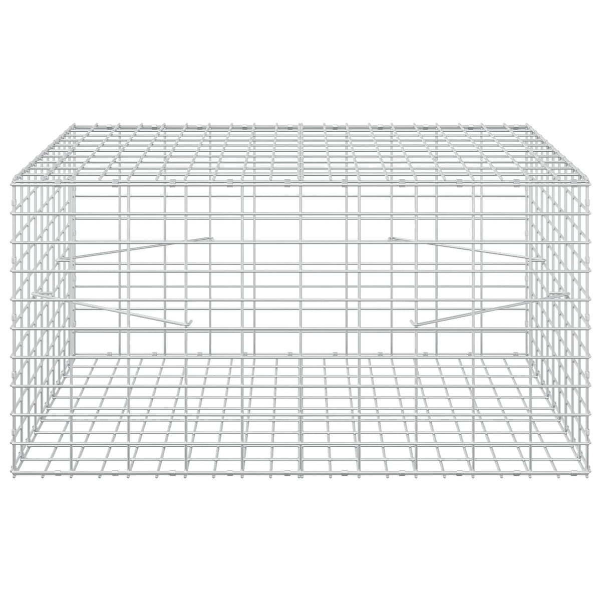Γκαμπιόν με σύρμα 3,5 mm και πλέγμα 5x10 cm 100x100x50 εκ - Pakobazaar