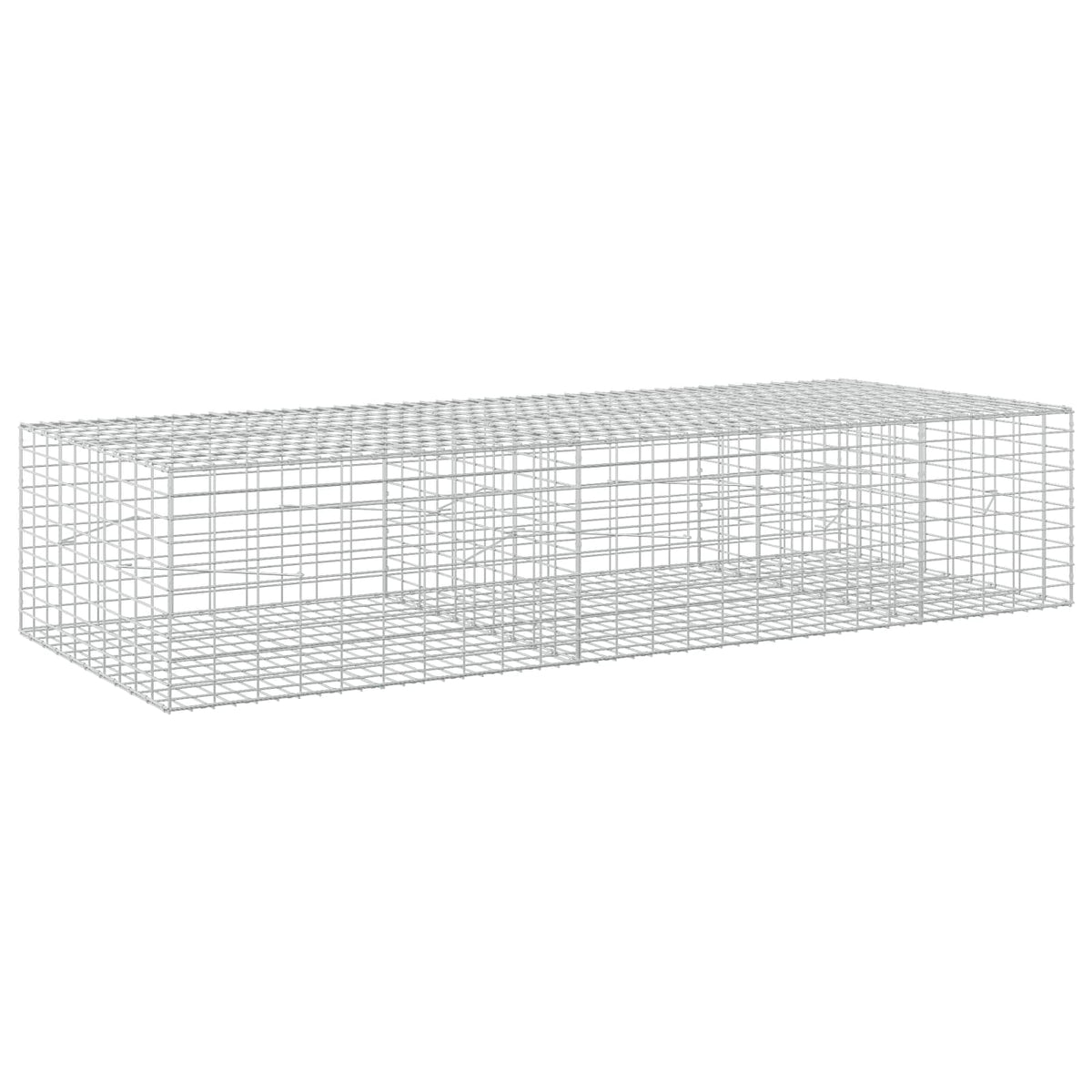 Γκαμπιόν με σύρμα 3,5 mm και πλέγμα 5x10 cm 250x100x50 εκ.