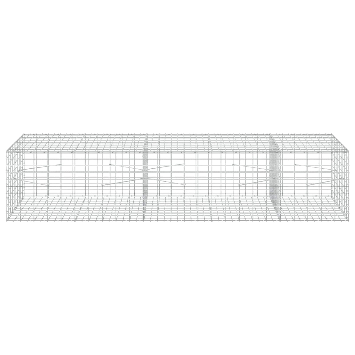 Γκαμπιόν με σύρμα 3,5 mm και πλέγμα 5x10 cm 250x100x50 εκ.