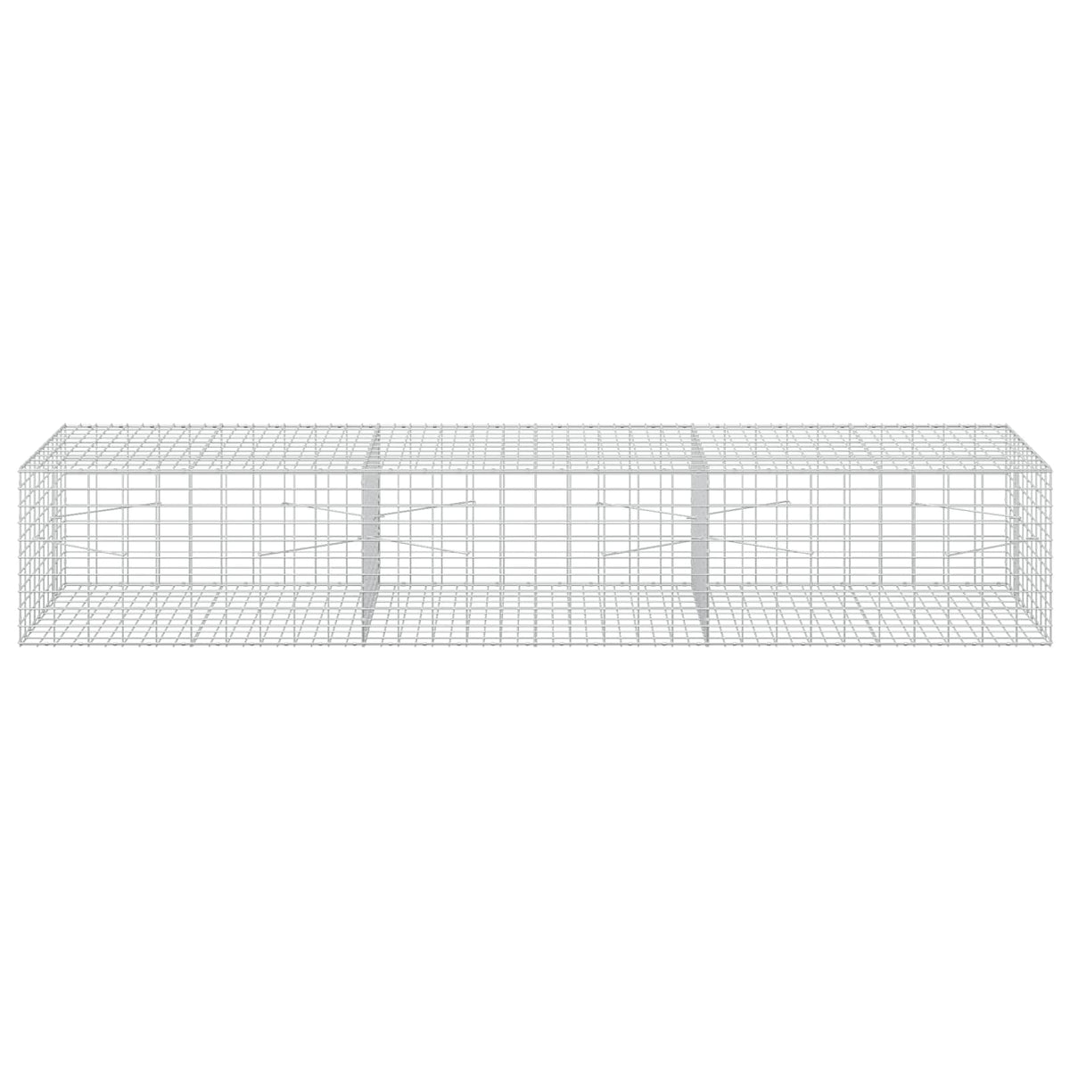 Γκαμπιόν με σύρμα 3,5 mm και πλέγμα 5x10 cm 300x100x50 εκ - Pakobazaar