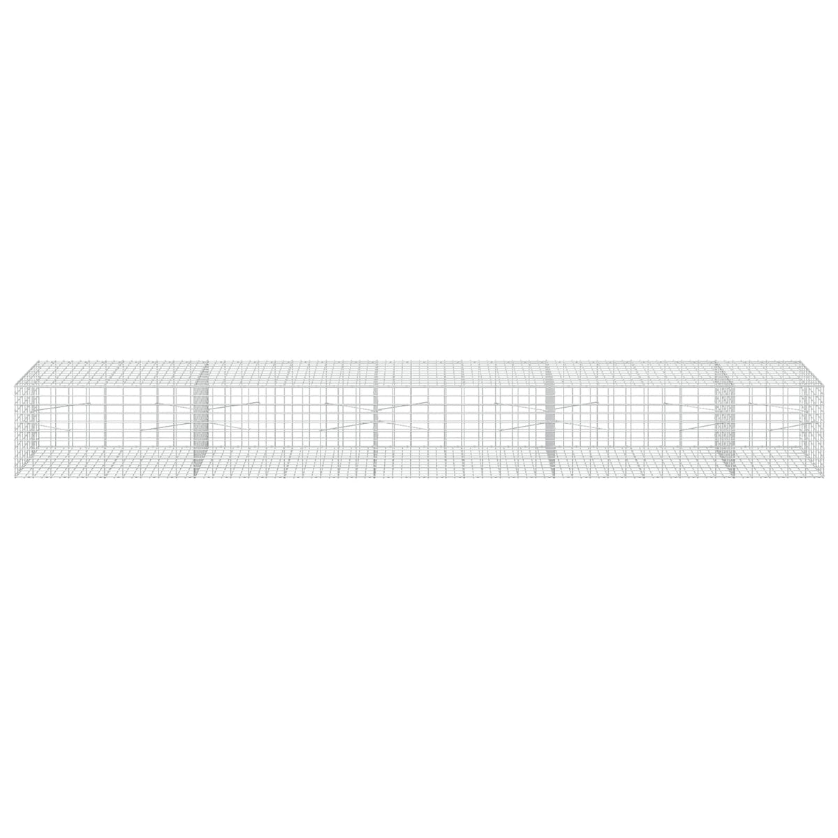 Γκαμπιόν με σύρμα 3,5 mm και πλέγμα 5x10 cm 450x100x50 εκ - Pakobazaar