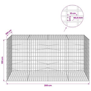 Γκαμπιόν με σύρμα 3,5 mm και πλέγμα 5x10 cm 200x100x100 εκ. - Pakobazaar